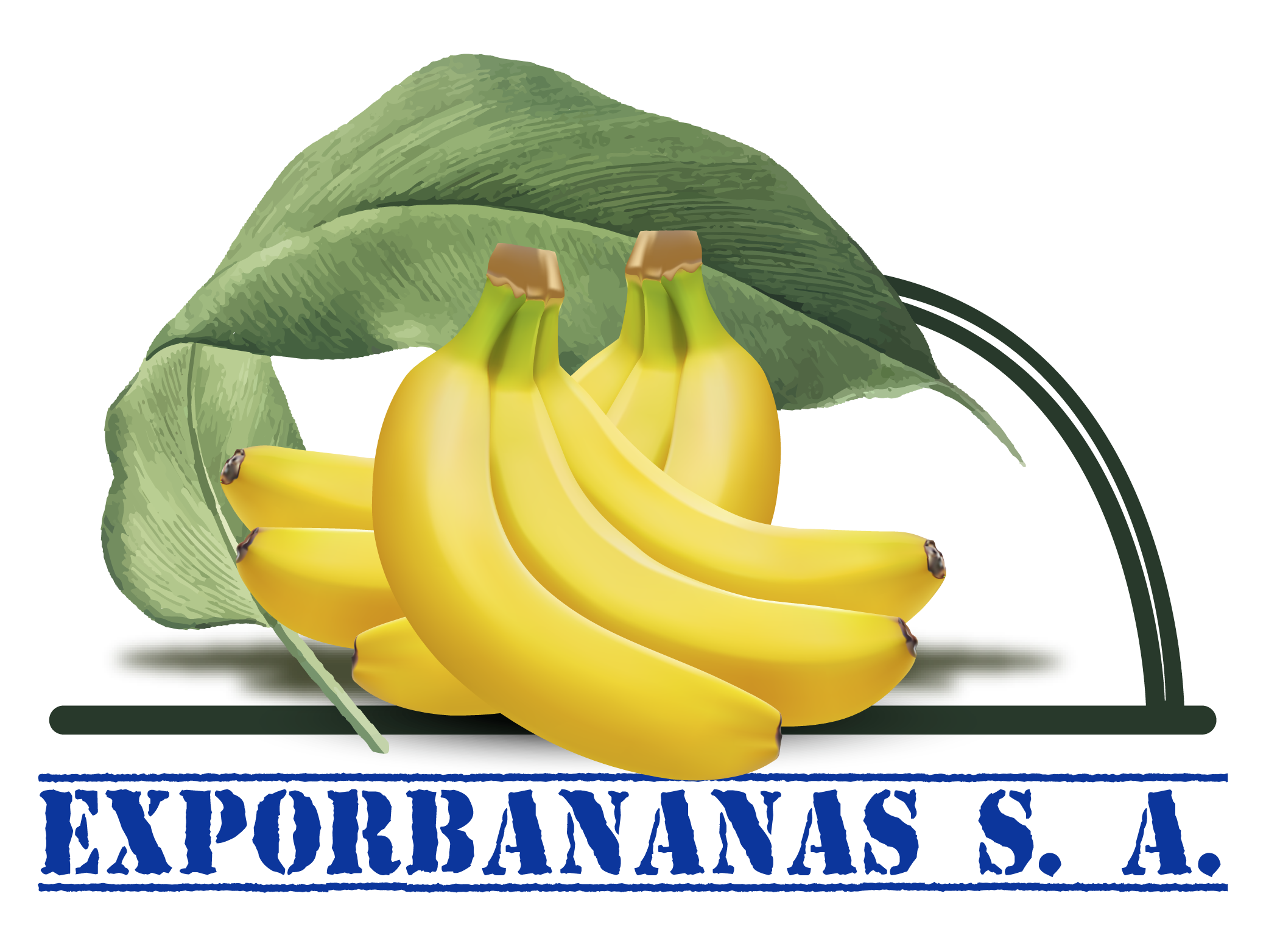 Export Bananas