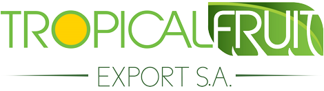Tropical Fruit Export